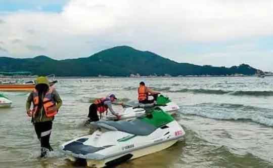 广东大量鱼跃出海面跳上岸 官方回应