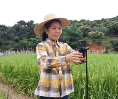 广东女生粤式英语带火走地鸡