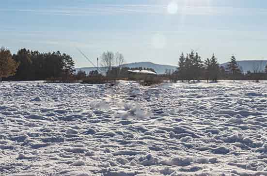 注意保暖!漠河最大积雪深度19厘米