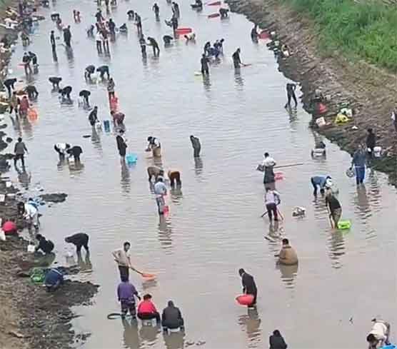 河南一地众人下河“摸金”?当地回应太意外!