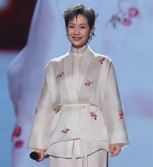 叶童官宣将不再参与新白娘子传奇演唱会