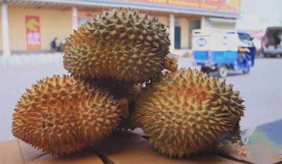 榴莲价格暴跌50%有人竟豪买50箱