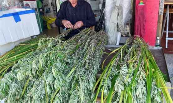 艾草花束竟卖到98元,这价格合理吗?