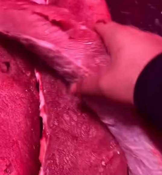 商家竟往猪肉抹硼砂?拍摄者咋回应