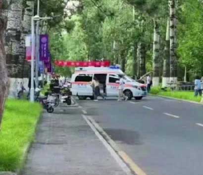 😱清华校园突发悲剧女教授被树砸身亡,校方如何回应?