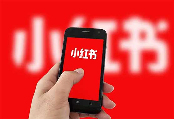 😱小红书被处罚？这背后到底发生了什么！