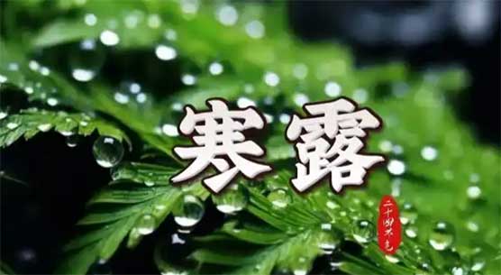 今年寒露不一般！农历八月就“冻露”？气象预警：冬天要冻哭？