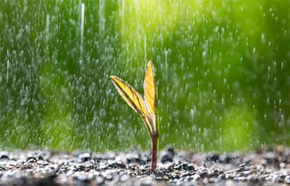 下周南北方集体“速冻”?!气温暴跌10℃+还刮妖风,穿错真要冻哭?