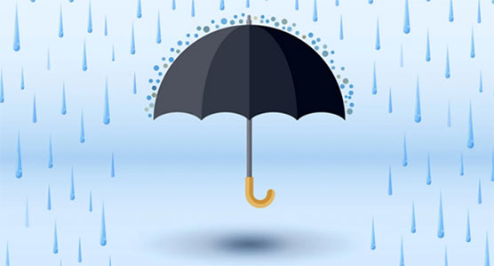 西安雨疯了!盘4年的核桃发芽了