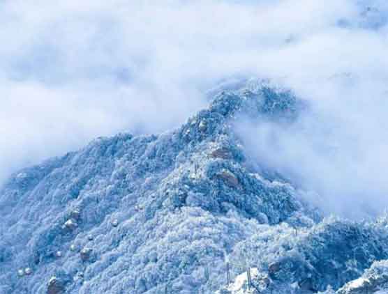 美到窒息!老君山下半年初雪厚达30公分