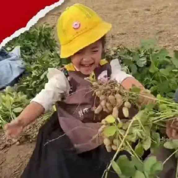 “吃苦幼儿园”爆火!家长扎堆送娃遭罪?