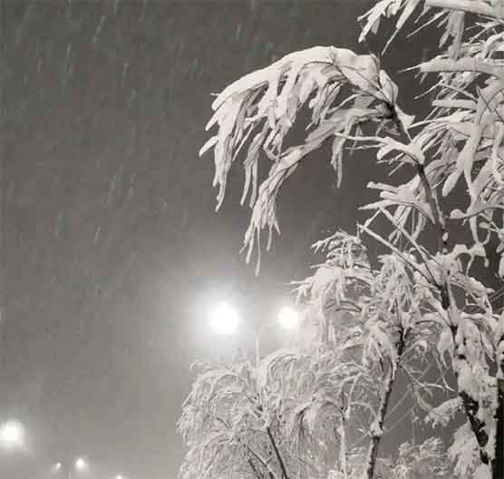 紧急预警！罕见特大暴雪横扫20省区市 降温10℃