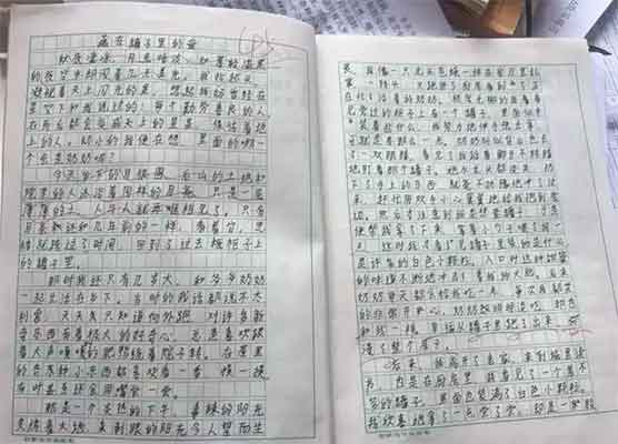14岁初中生作文看哭全网，本人暖心回应