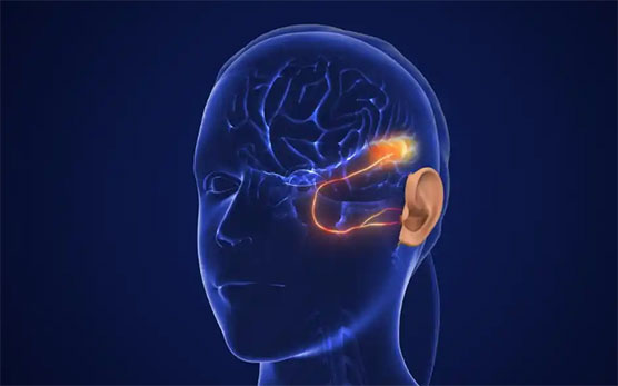 30岁小伙长期熬夜 智力退化至3岁水平!