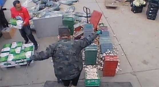 威海新员工入职首日摔18筐鸡蛋！老板反应太圈粉