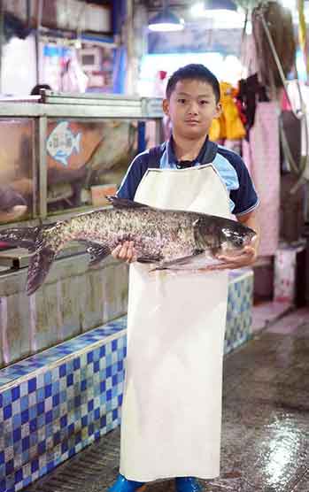 佛山秋假“鱼档少年”杀鱼走红！1分钟处理1条鱼