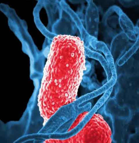 多种致病菌高耐药爆发，抗生素不是万能药