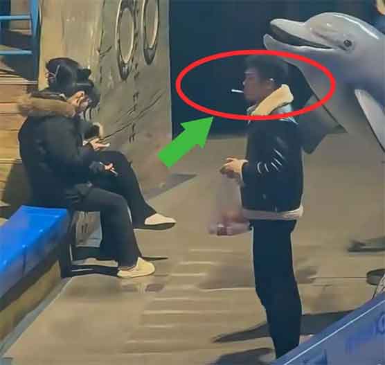 大连海洋馆名场面！白鲸精准喷水浇灭违规香烟