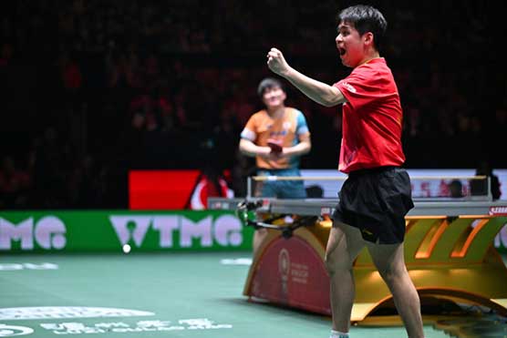 国乒8-1横扫日本!11战全胜豪取混团世界杯三连冠