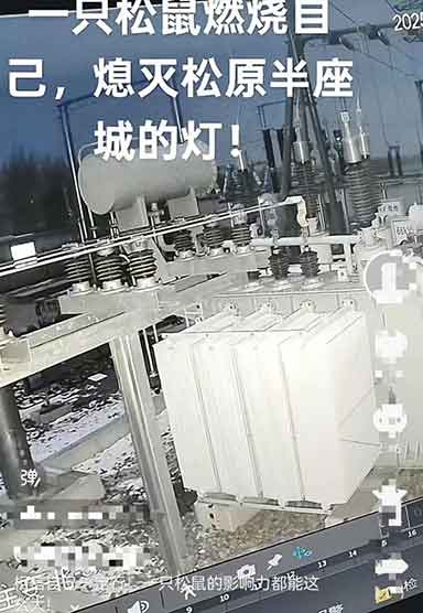 松原停电甩锅松鼠?官方实锤:谣言!真因是这
