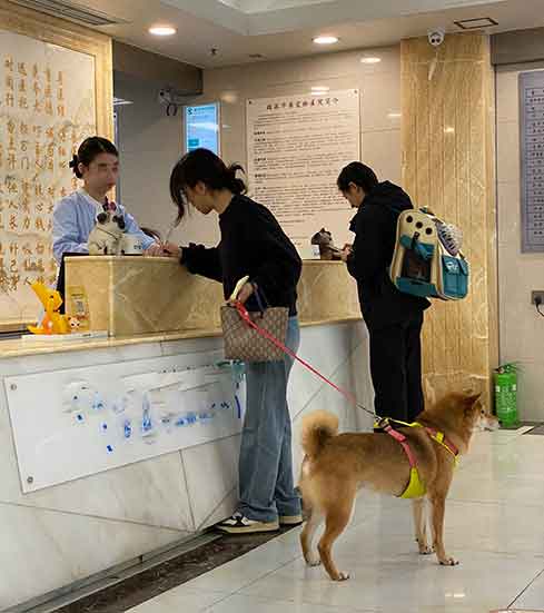 杭州小区业主抵制宠物医院!合规边界到底在哪?