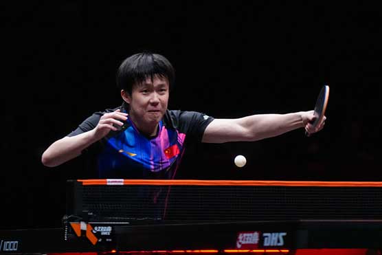 王楚钦4-1横扫法国名将 强势晋级WTT4强