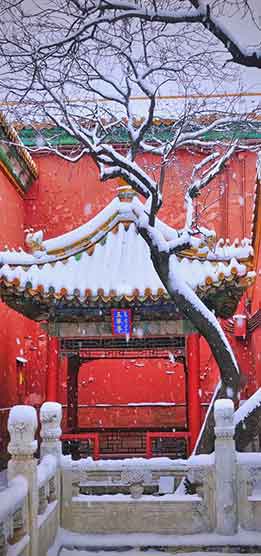 北京初雪封神!红墙白雪美出中式美学天花板
