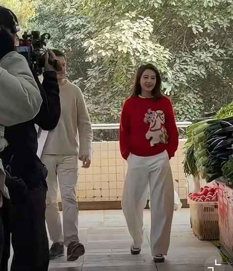 高圆圆拍综艺用替身？相关方回应+光替真相揭秘