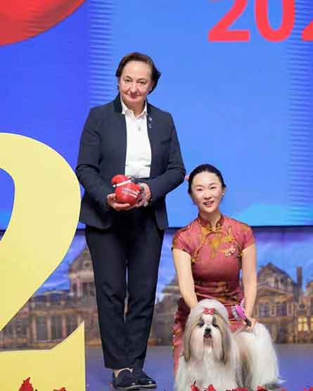 霍思燕旗袍携西施犬国际夺冠 东方美学惊艳全球