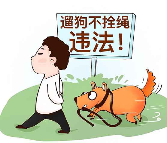 1月1日起！遛狗不拴绳伤人最高拘留10日