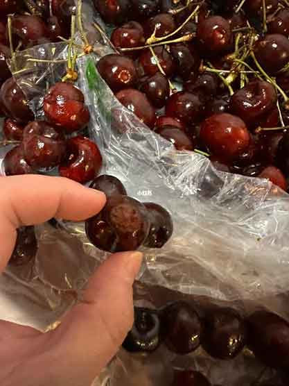 避雷💥网友新开箱车厘子几乎全腐烂！