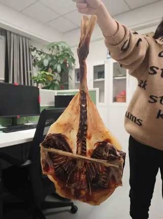 笑不活😂同学寄来“翼龙”，网友疯问能吃吗