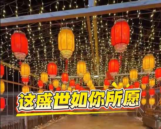 边牧凌晨偷下单100+灯笼🔥主人回应笑不活了