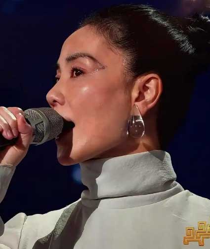 王菲春晚空灵开唱 窦靖童表情包笑翻全网