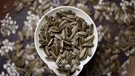 紧急预警⚠️这种瓜子有毒致癌，吃到立马吐！