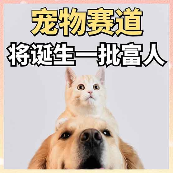 宠物经济热度不减，养宠消费成新增长点