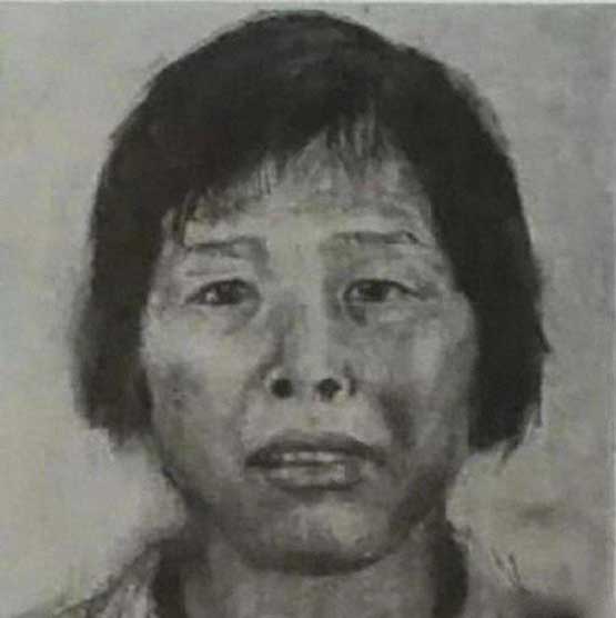 梅姨广州三元里落网全是谣言?官方多次辟谣追逃真实进展