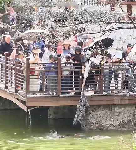 破防🔥西安女子一件外套，拽回落水母子两条命