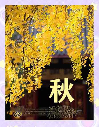 秋分！朱广权神解读：秋到底是什么秋