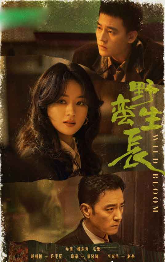 赵丽颖欧豪李光洁都市商战剧《野蛮生长》