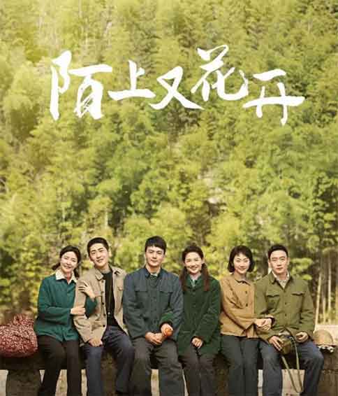 马藜铁政剧情电视剧《陌上又花开》