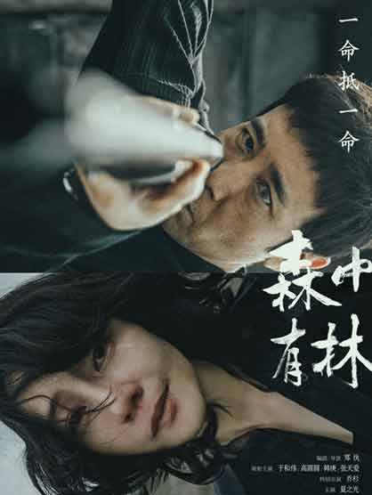 于和伟高圆圆韩庚爱情犯罪片《森中有林》