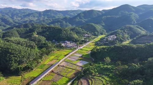 藏在大山深处的“消碳庄园”背后的力量，飞龙：年轻村官的热血