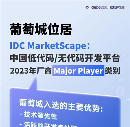 葡萄城位居IDC MarketScape：中国低代码/无代码开发平台2023 年厂商Major Player类别