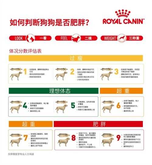 宠物体重管理：以科学预防维护宠物健康