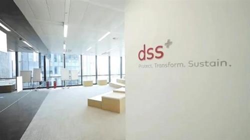  dss+谢荣军：咨询公司需要从提供建议转变到建议的实施和落地