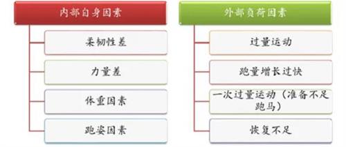  平时如何挑选跑步机？舒华跑步机减震系统获中国体育科学学会专家认可