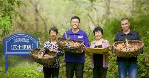 绿色蜕变，六个核桃引领“双碳”时代绿色工厂新标杆