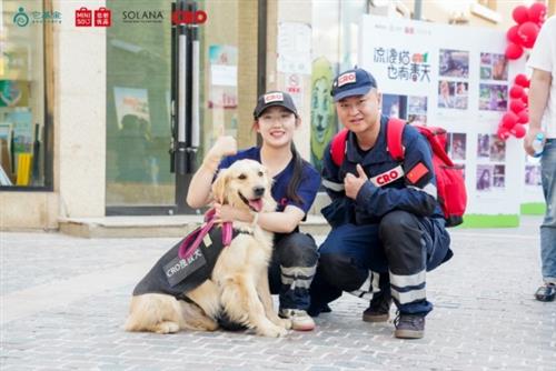 名创优品推出国内首例“流浪狗变身搜救犬”公益项目 