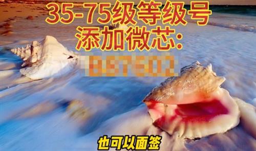 抖音发布水军治理公告 重点打击售卖账号、好评卡及恶意控评三类行为